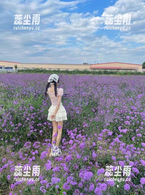 摘瓜不手软，51在线吃瓜资源一网打尽！