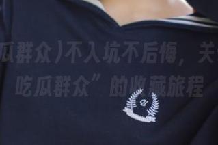 不入坑不后悔，关于“91吃瓜群众”的收藏旅程