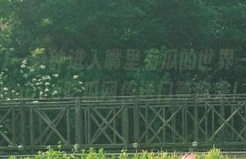 一秒钟进入嘴里有瓜的世界——cggolive吃瓜网传送门等你来！