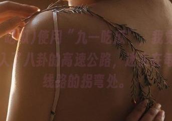 使用“九一吃瓜”，我觉得自己进入了八卦的高速公路，迷失在每一个线路的拐弯处。