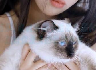谁说资源不重要？黑料吃瓜这次给你永久的畅快体验～