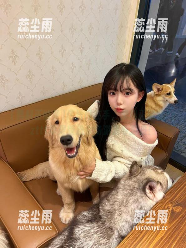 传送门在手，黑料正能量zzzttt苹果版邀你畅游猎奇源泉！